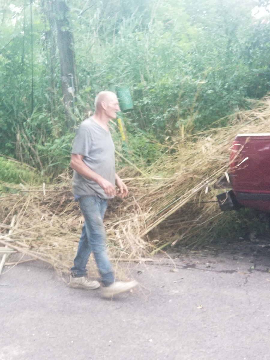 Photographic documentation of the work as submitted to the city's 311 record.