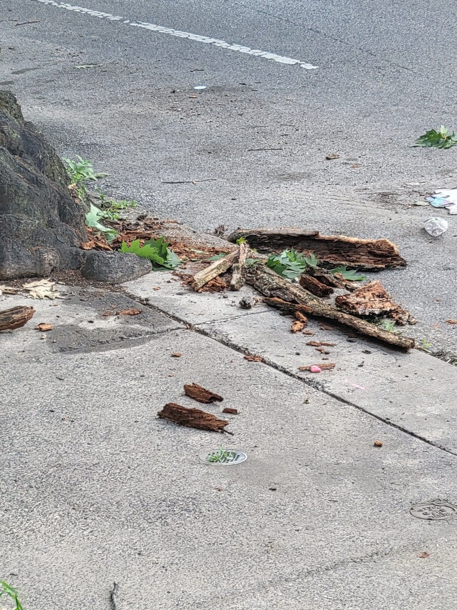 Photographic documentation of the work as submitted to the city's 311 record.