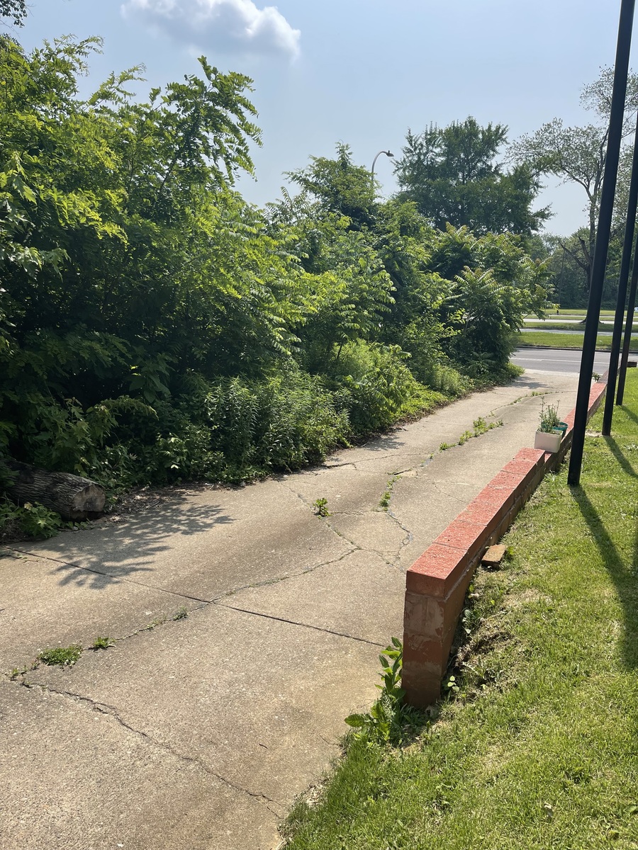 Photographic documentation of the work as submitted to the city's 311 record.