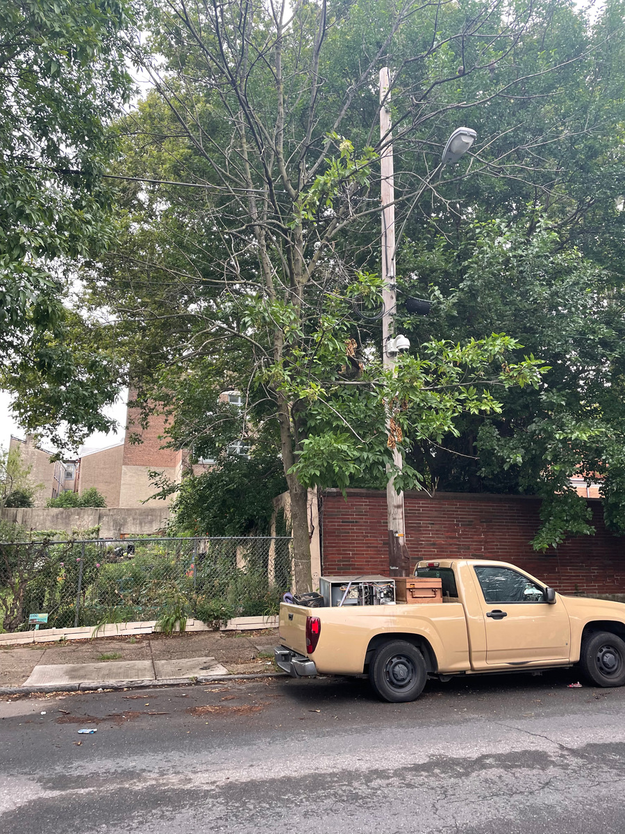 Photographic documentation of the work as submitted to the city's 311 record.