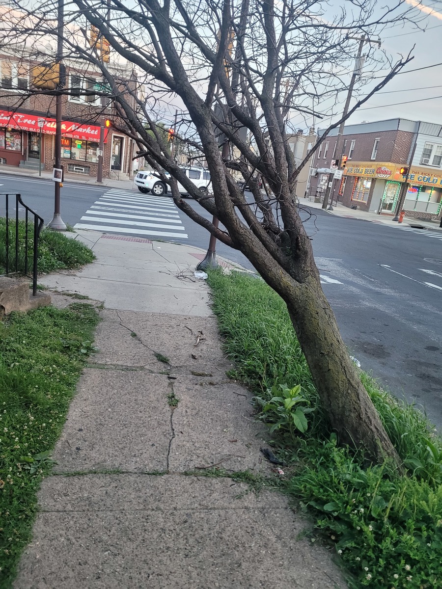 Photographic documentation of the work as submitted to the city's 311 record.