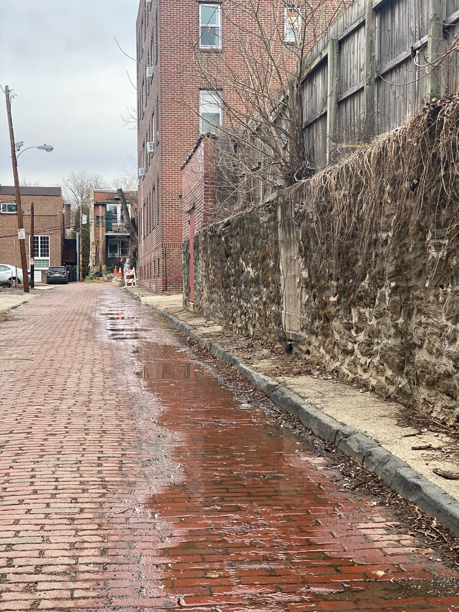 Photographic documentation of the work as submitted to the city's 311 record.