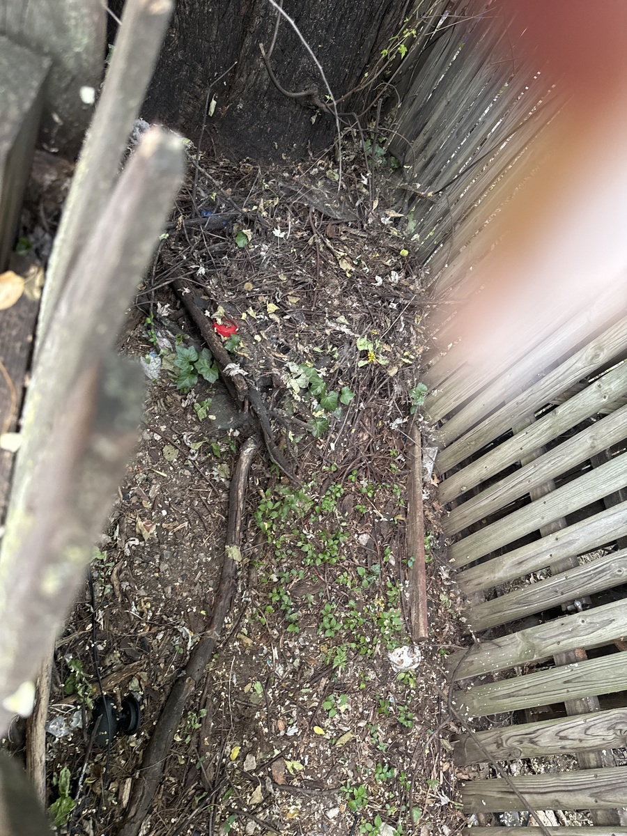 Photographic documentation of the work as submitted to the city's 311 record.