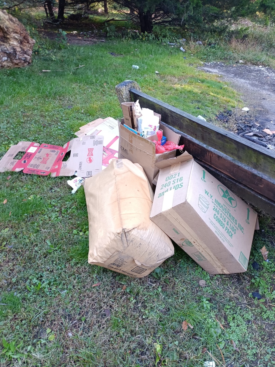 Photographic documentation of the work as submitted to the city's 311 record.