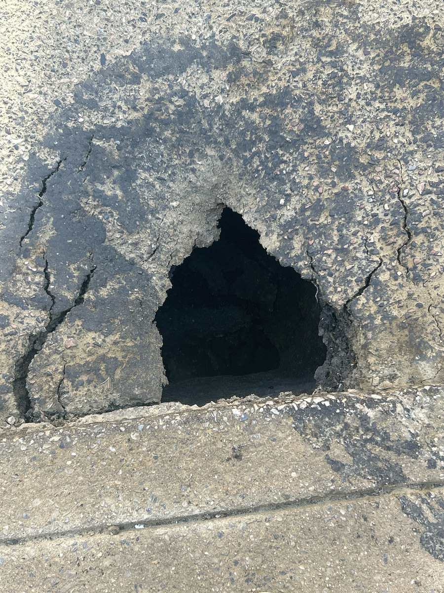 Photographic documentation of the work as submitted to the city's 311 record.