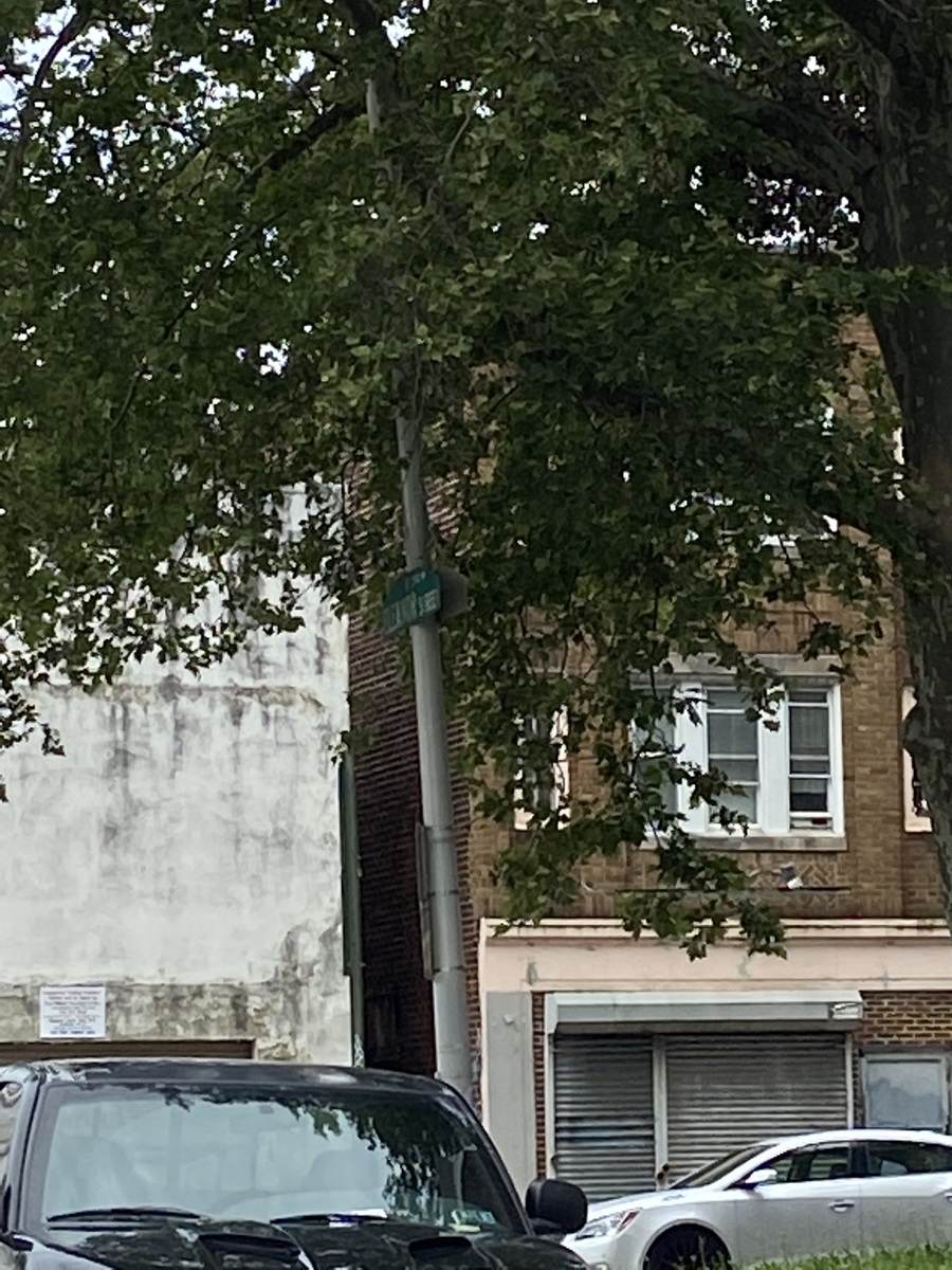Photographic documentation of the work as submitted to the city's 311 record.