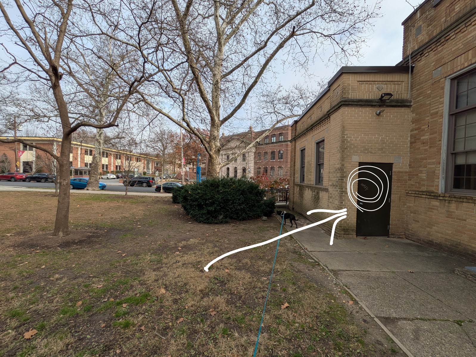 Photographic documentation of the work as submitted to the city's 311 record.