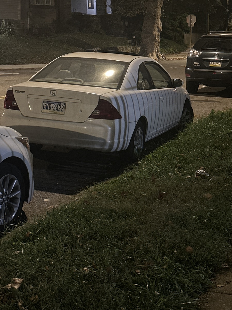 Photographic documentation of the work as submitted to the city's 311 record.