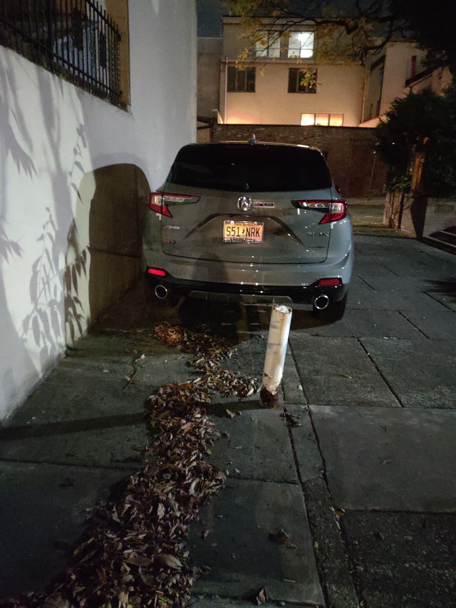 Photographic documentation of the work as submitted to the city's 311 record.