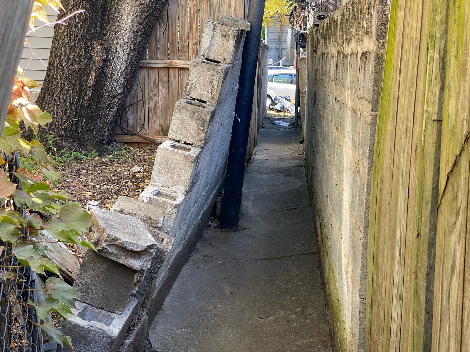 Photographic documentation of the work as submitted to the city's 311 record.