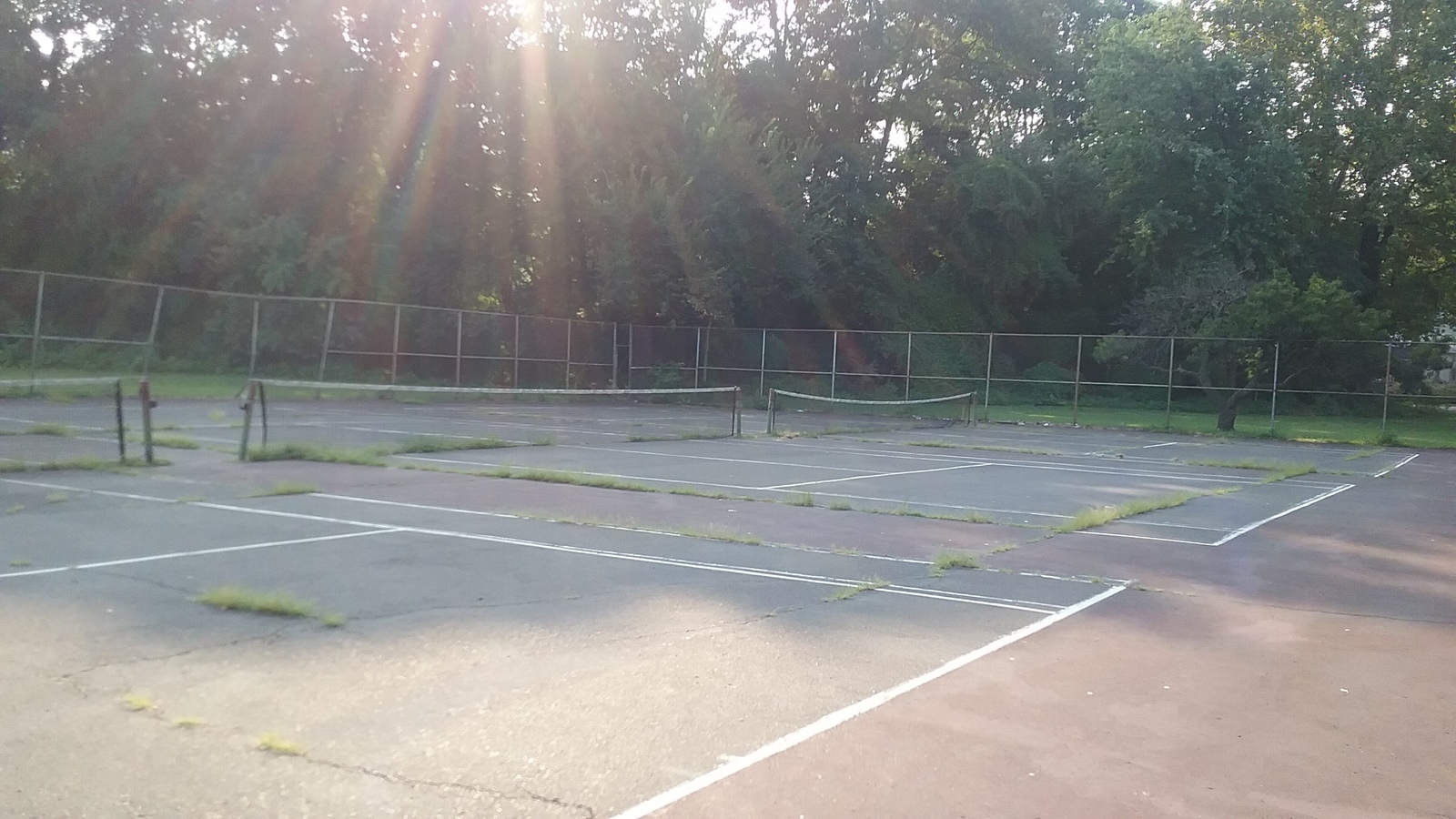 Photographic documentation of the work as submitted to the city's 311 record.