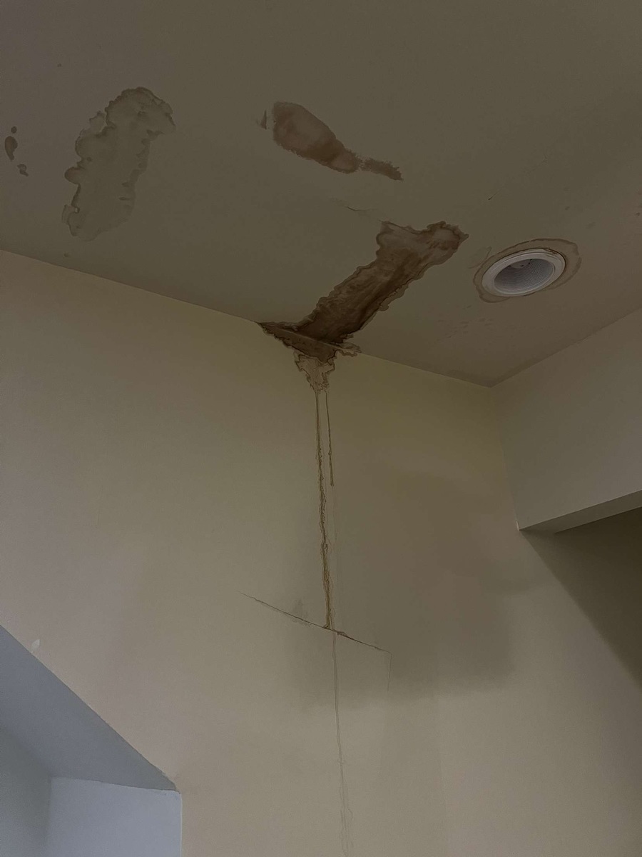 Photographic documentation of the work as submitted to the city's 311 record.