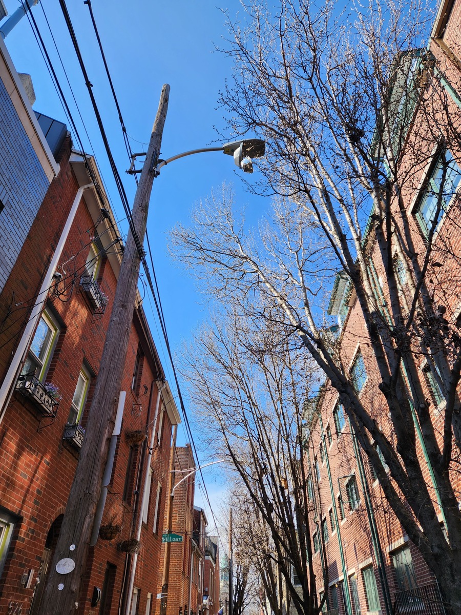 Photographic documentation of the work as submitted to the city's 311 record.