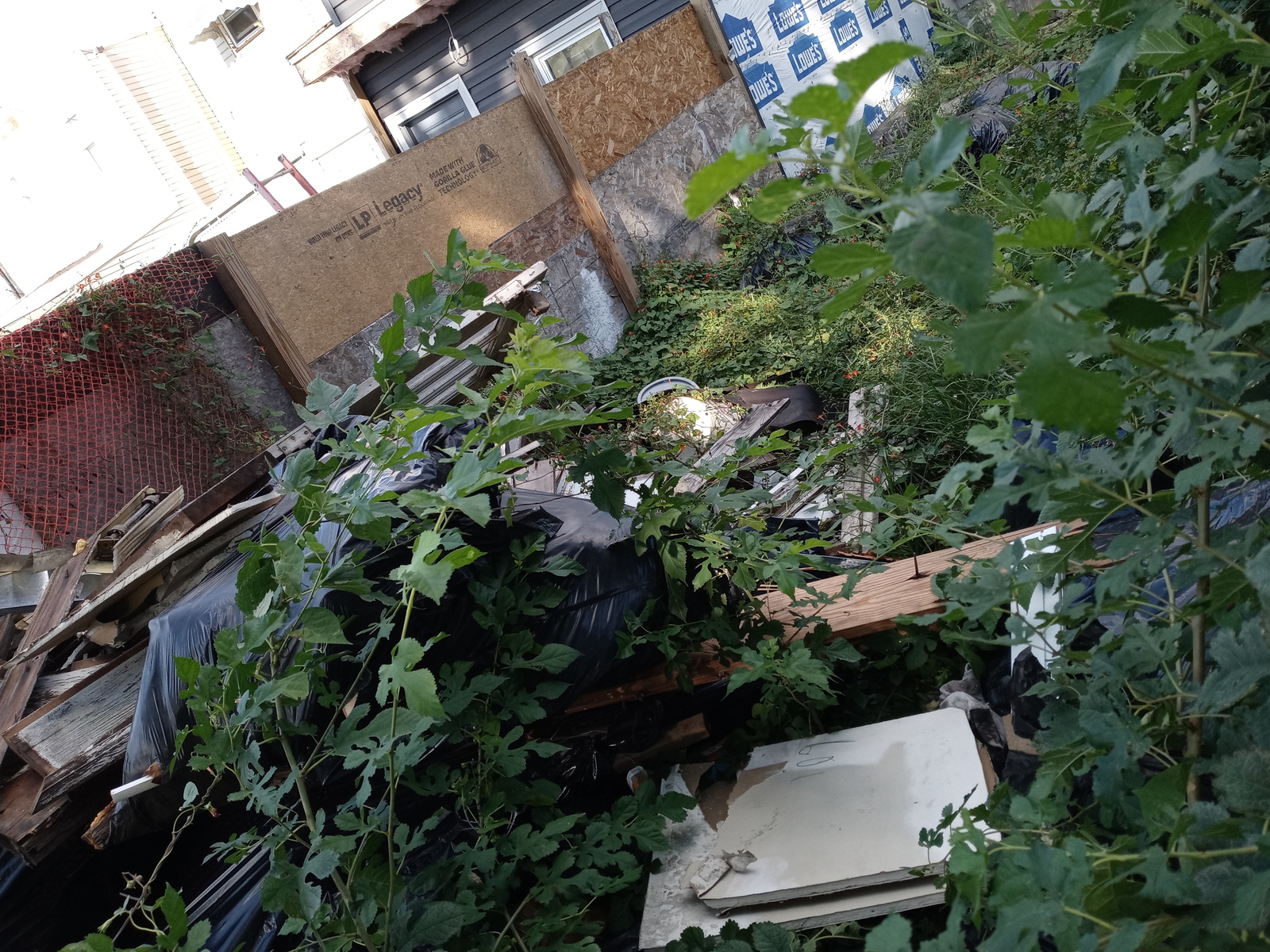 Photographic documentation of the work as submitted to the city's 311 record.