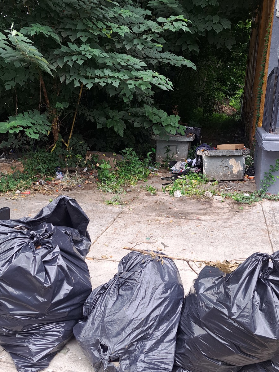Photographic documentation of the work as submitted to the city's 311 record.