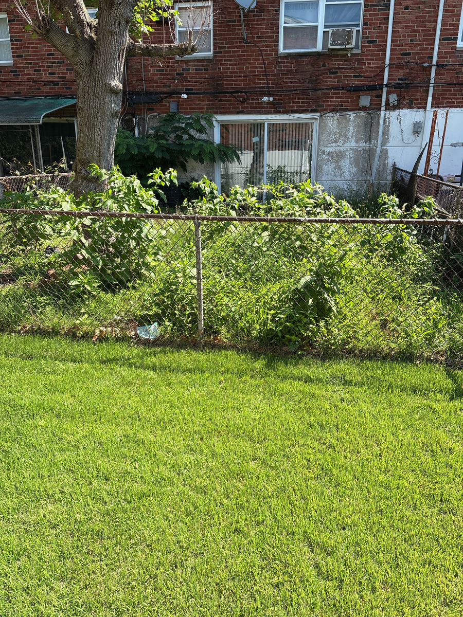 Photographic documentation of the work as submitted to the city's 311 record.