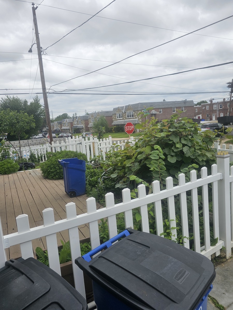 Photographic documentation of the work as submitted to the city's 311 record.