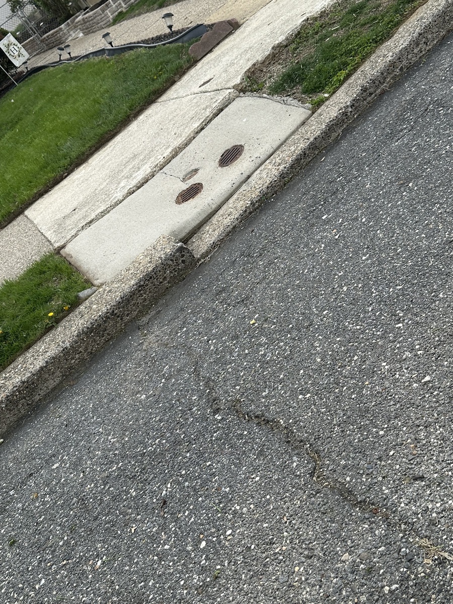 Photographic documentation of the work as submitted to the city's 311 record.