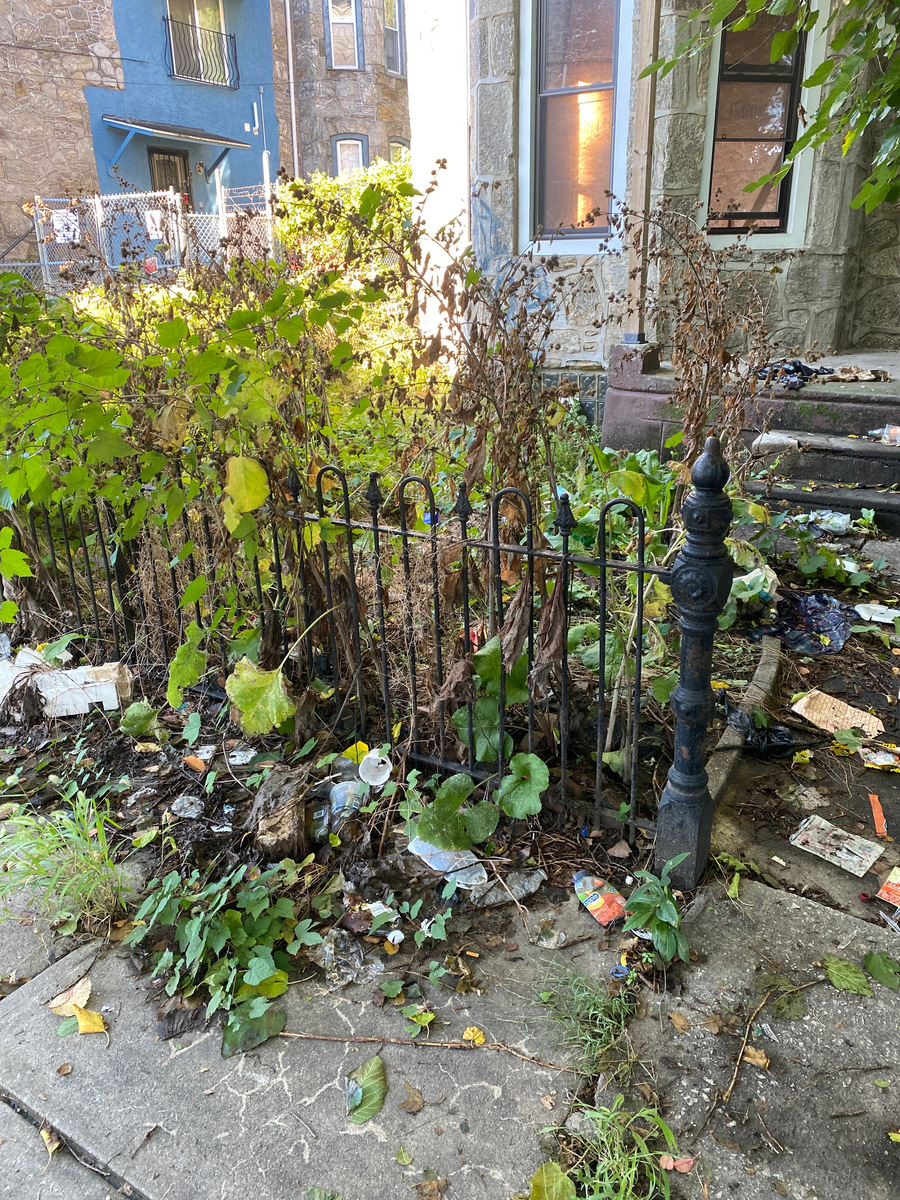Photographic documentation of the work as submitted to the city's 311 record.