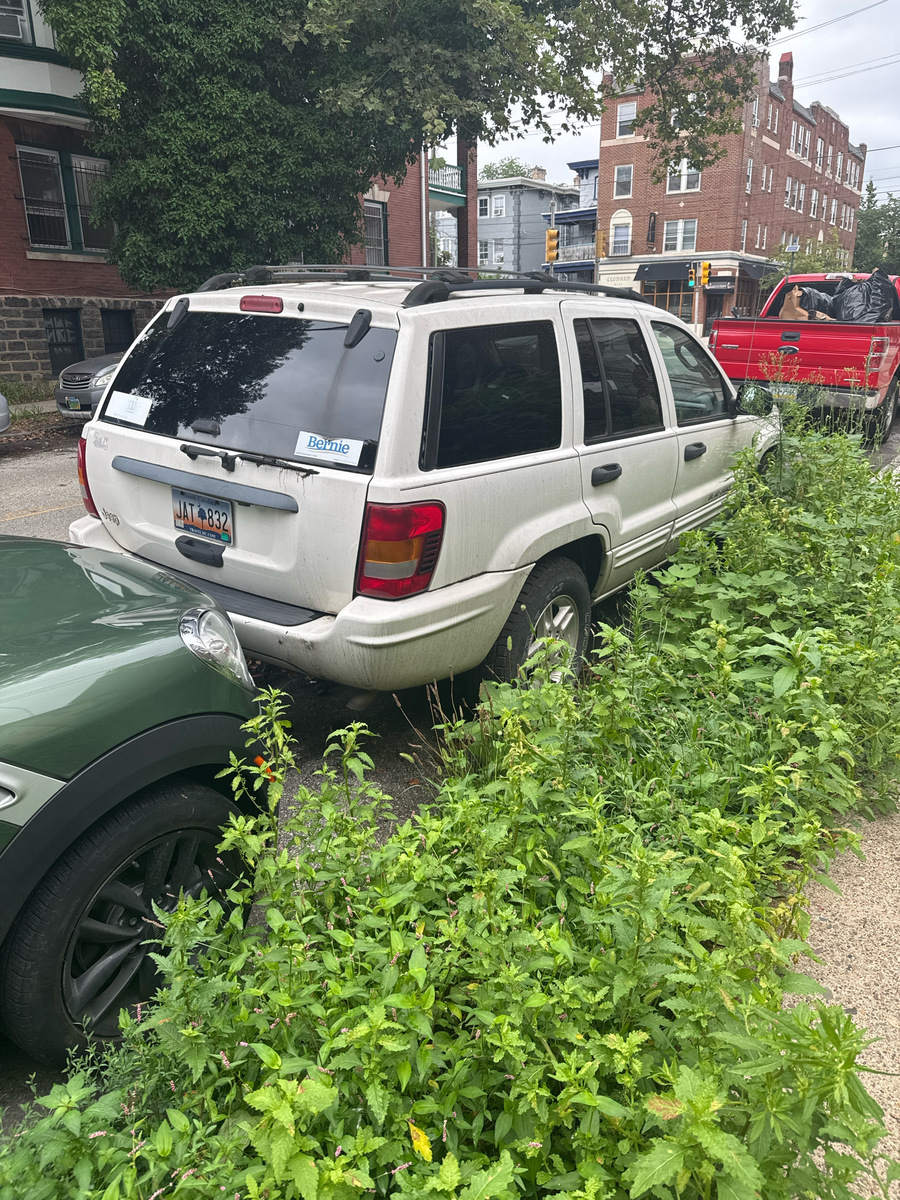 Photographic documentation of the work as submitted to the city's 311 record.