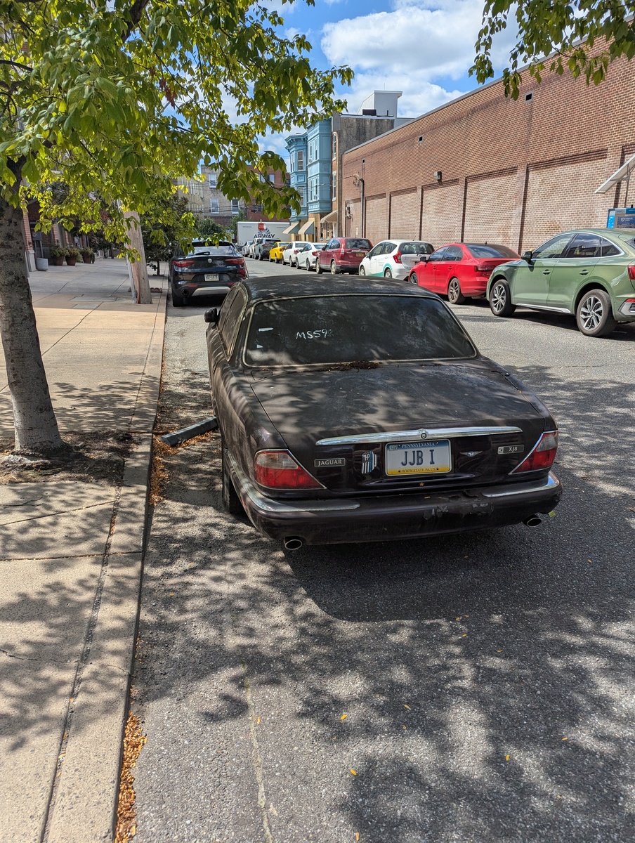 Photographic documentation of the work as submitted to the city's 311 record.