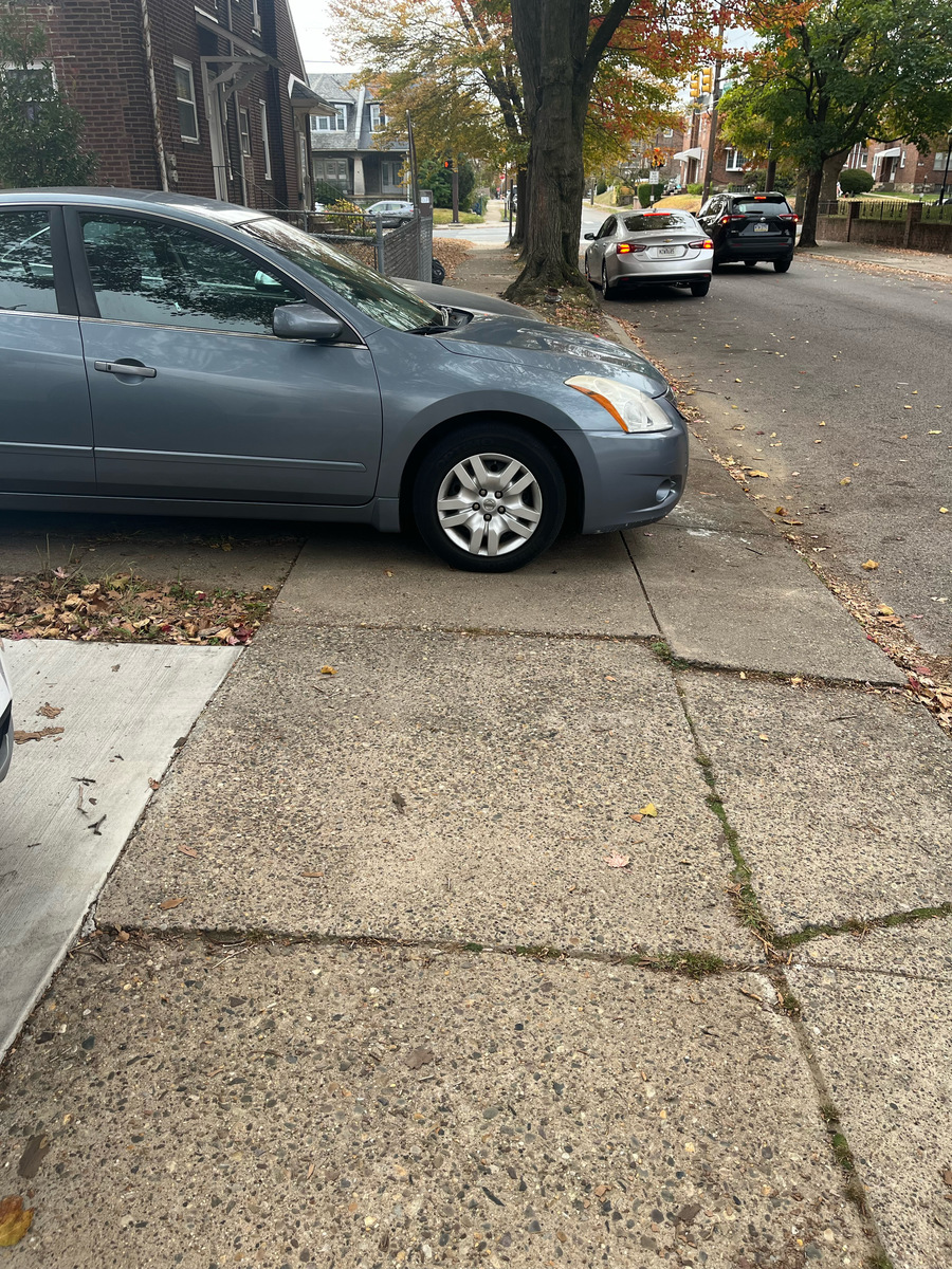 Photographic documentation of the work as submitted to the city's 311 record.