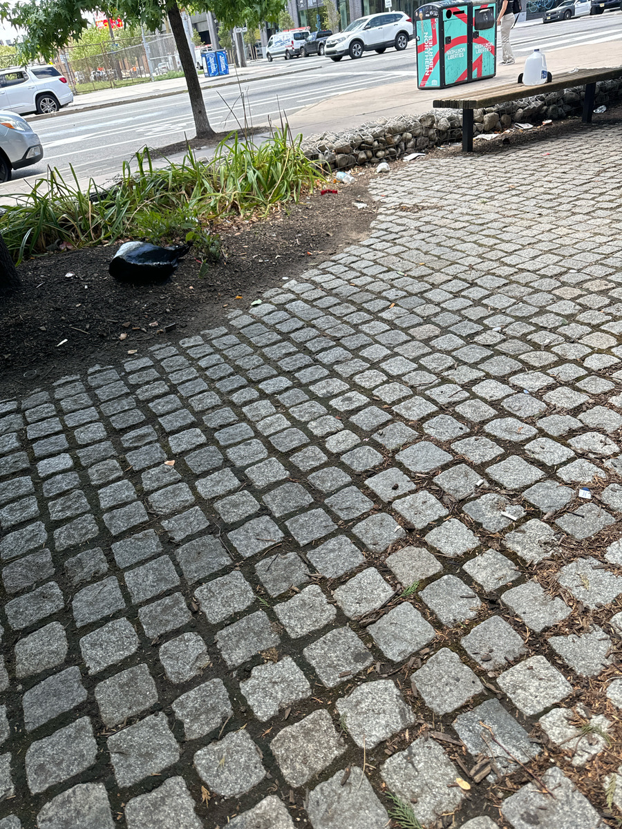 Photographic documentation of the work as submitted to the city's 311 record.