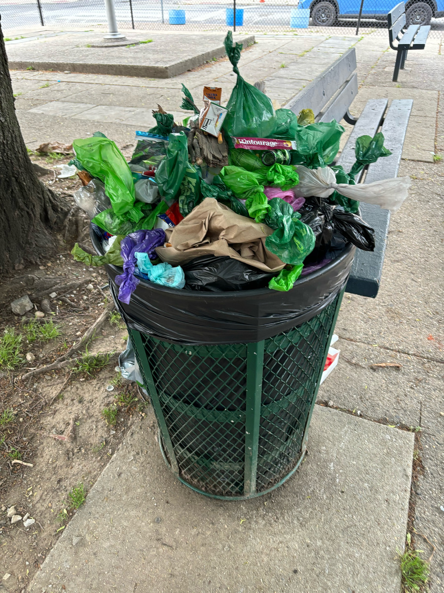 Photographic documentation of the work as submitted to the city's 311 record.
