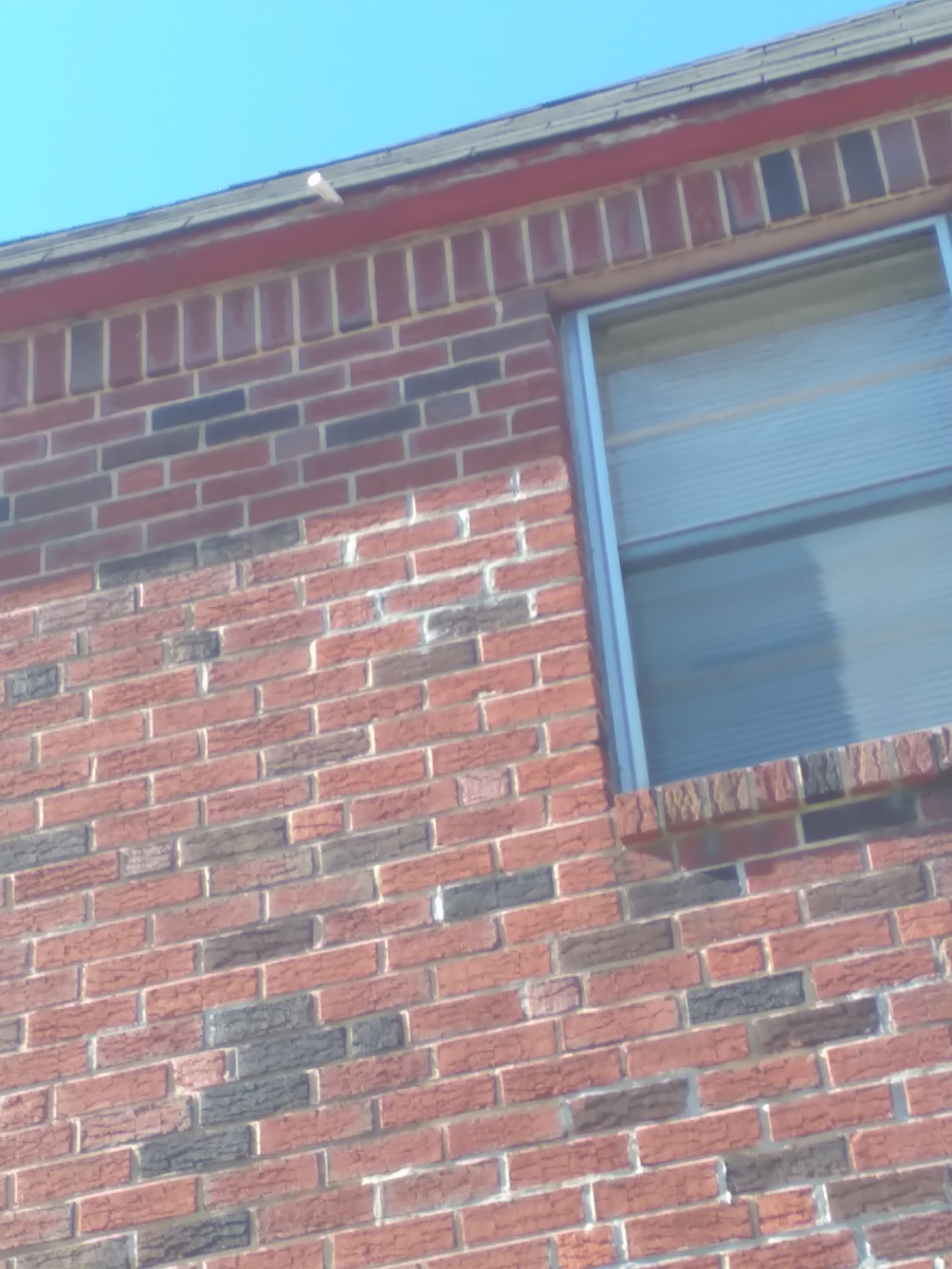 Photographic documentation of the work as submitted to the city's 311 record.