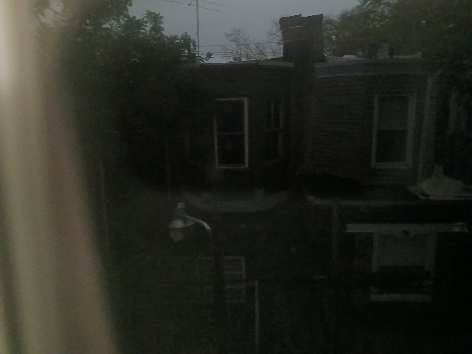 Photographic documentation of the work as submitted to the city's 311 record.