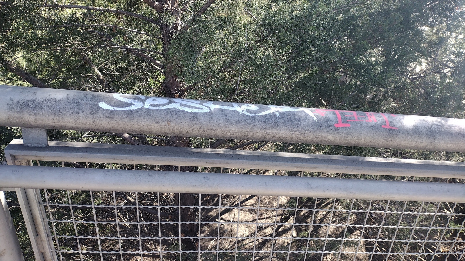 Photographic documentation of the work as submitted to the city's 311 record.
