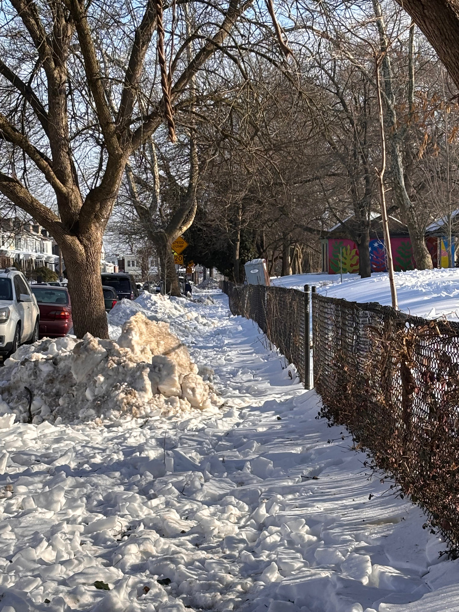 Photographic documentation of the work as submitted to the city's 311 record.