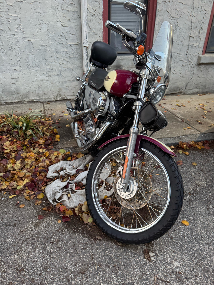 Photographic documentation of the work as submitted to the city's 311 record.