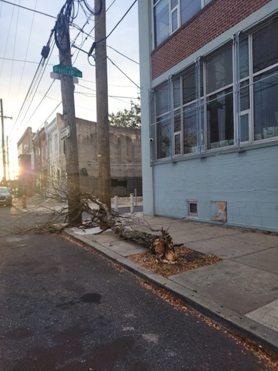 Photographic documentation of the work as submitted to the city's 311 record.