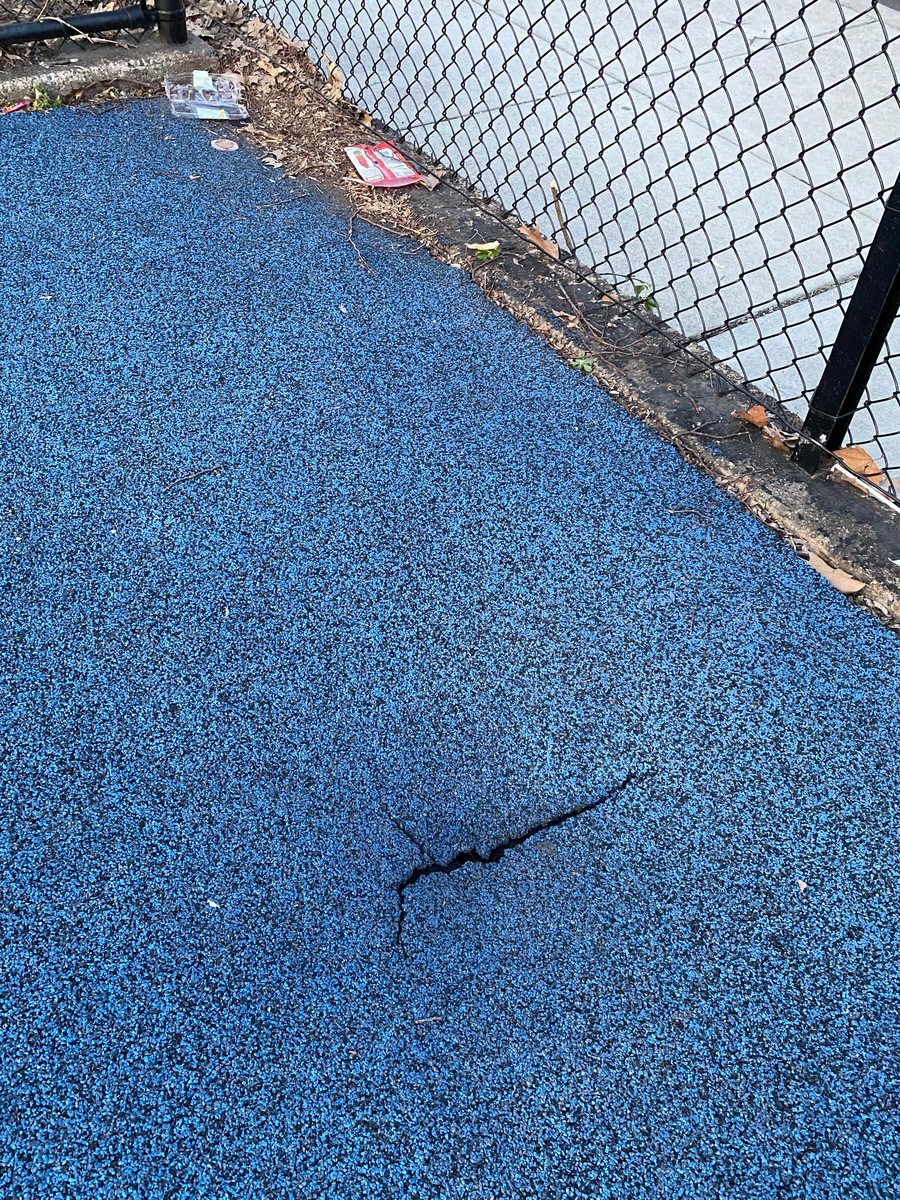 Photographic documentation of the work as submitted to the city's 311 record.