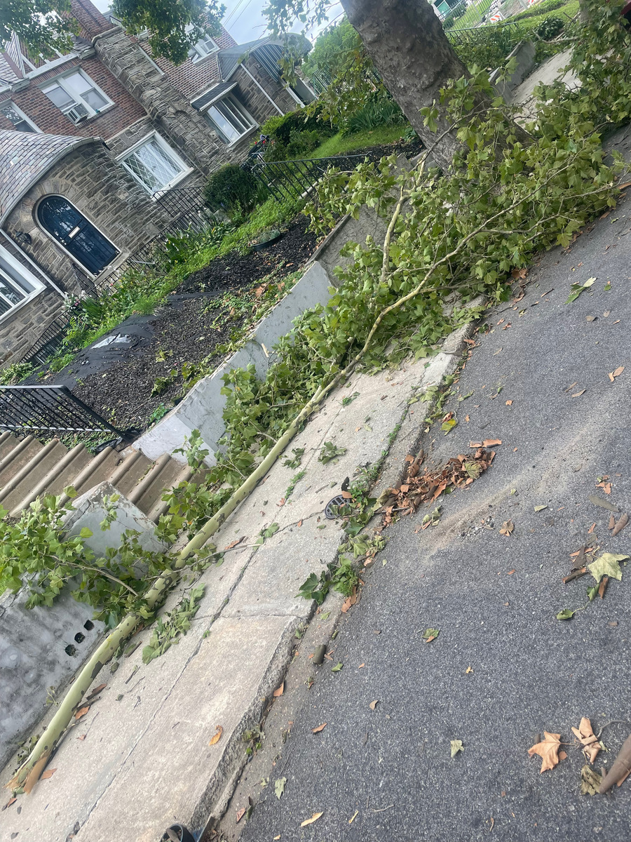 Photographic documentation of the work as submitted to the city's 311 record.