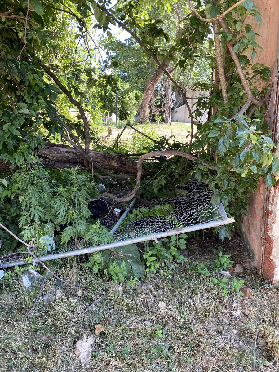 Photographic documentation of the work as submitted to the city's 311 record.