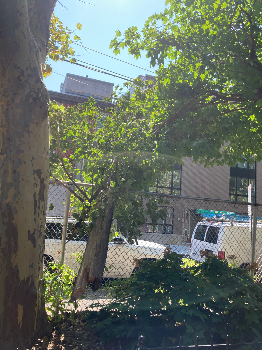 Photographic documentation of the work as submitted to the city's 311 record.