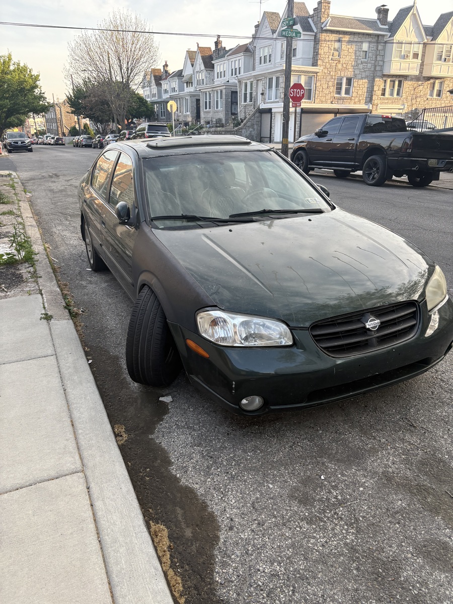 Photographic documentation of the work as submitted to the city's 311 record.