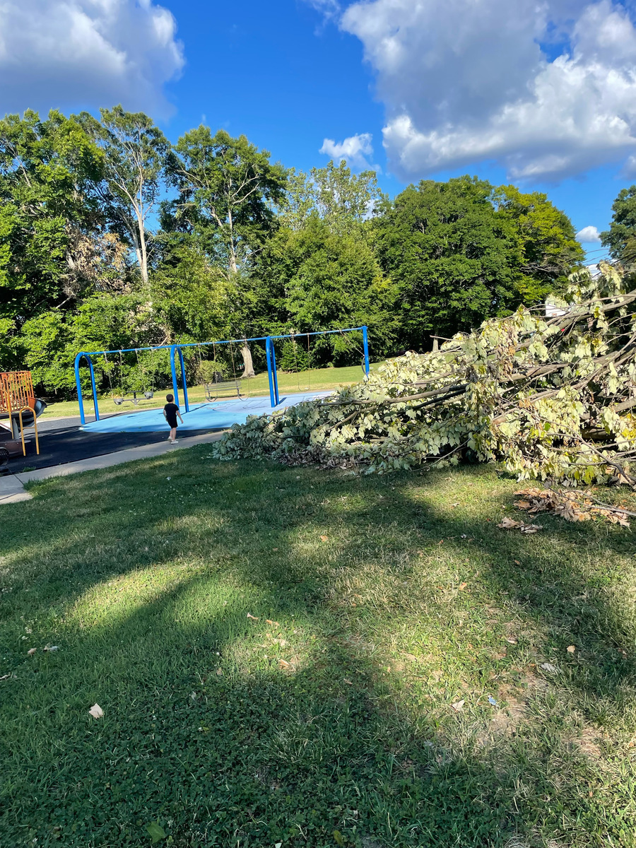 Photographic documentation of the work as submitted to the city's 311 record.