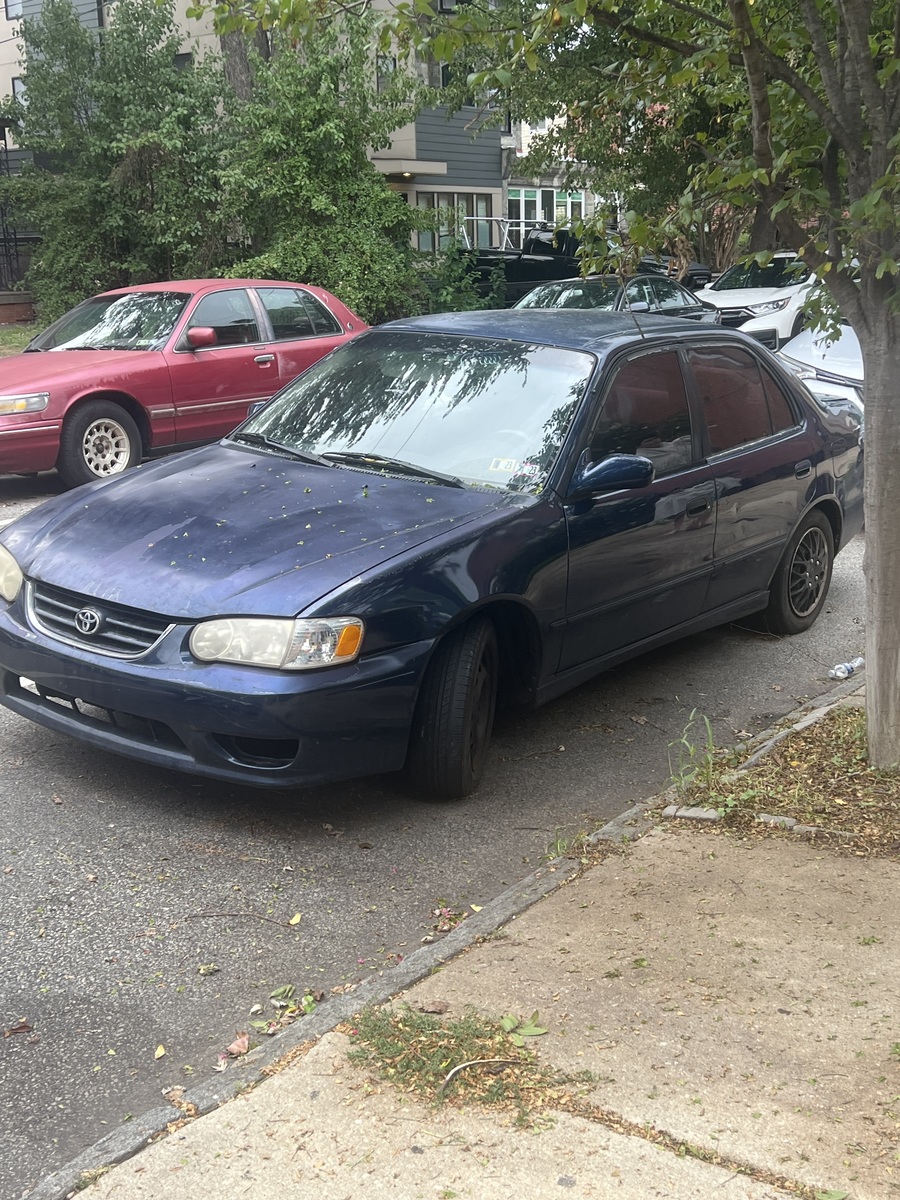 Photographic documentation of the work as submitted to the city's 311 record.