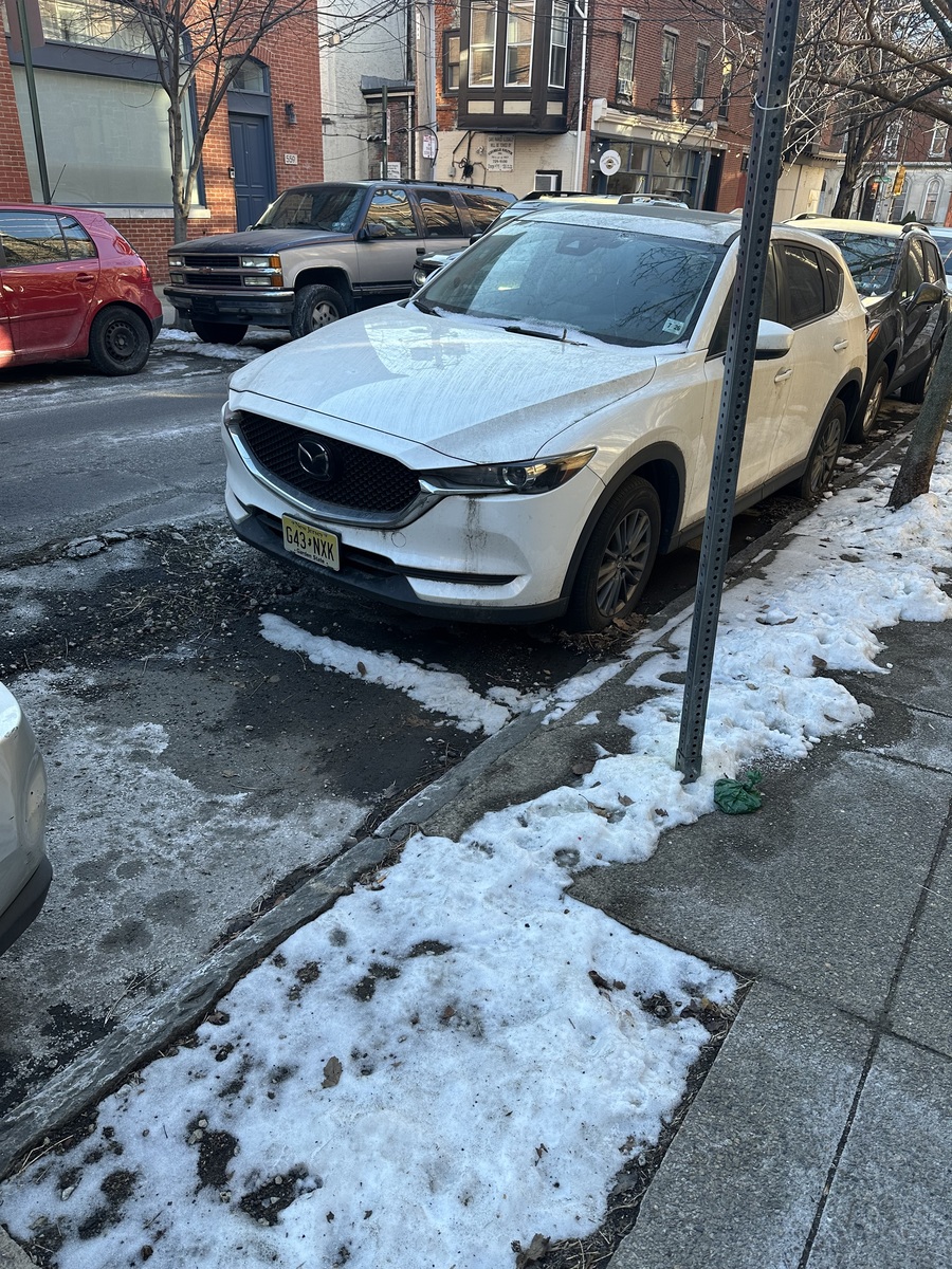 Photographic documentation of the work as submitted to the city's 311 record.