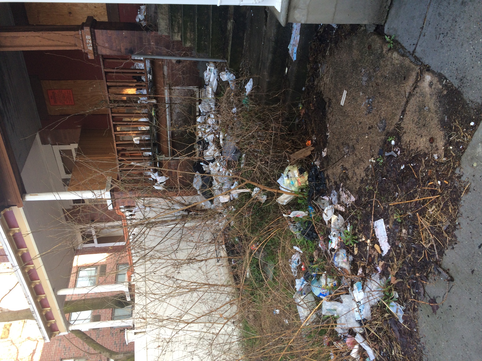 Photographic documentation of the work as submitted to the city's 311 record.
