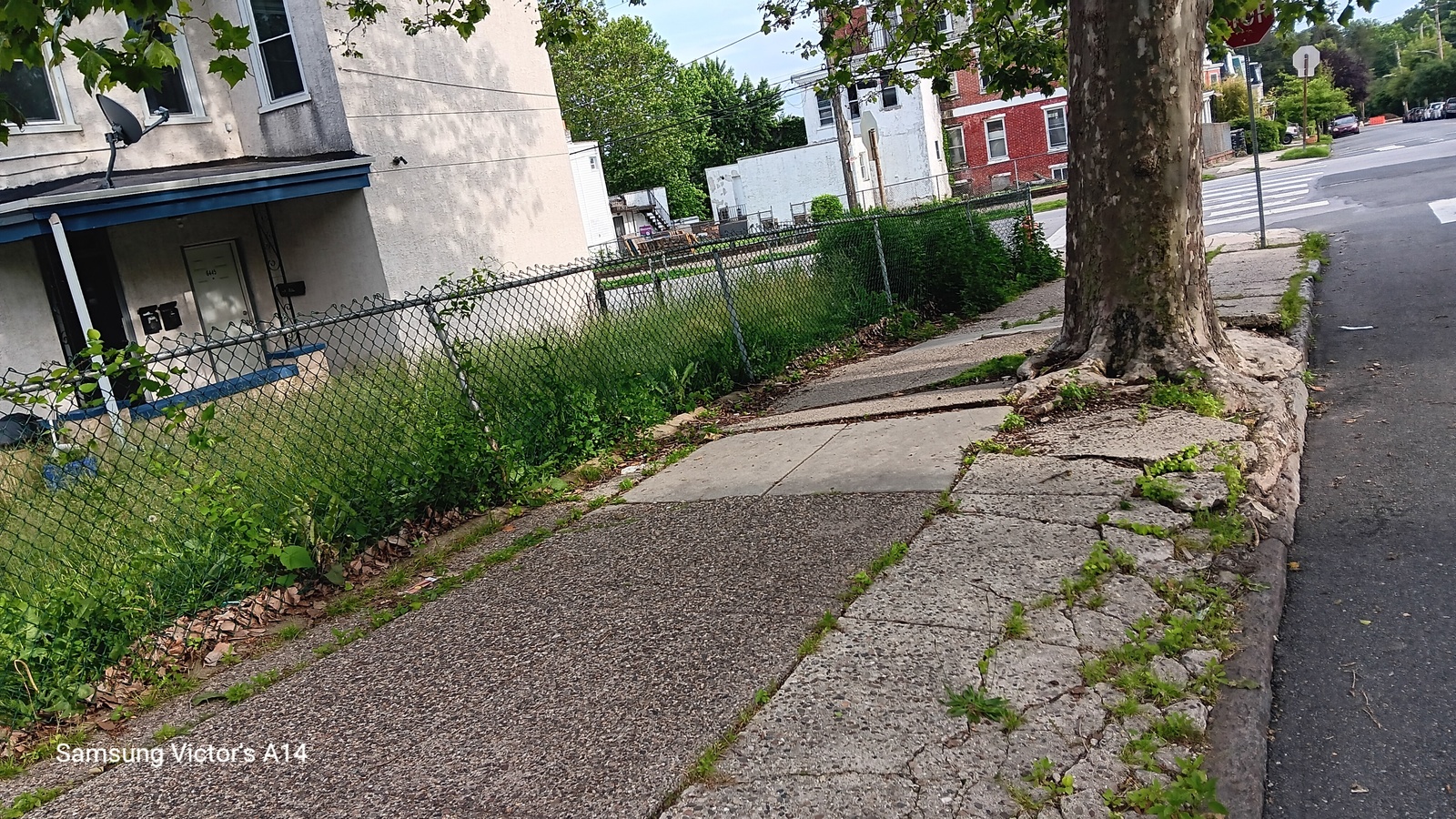 Photographic documentation of the work as submitted to the city's 311 record.