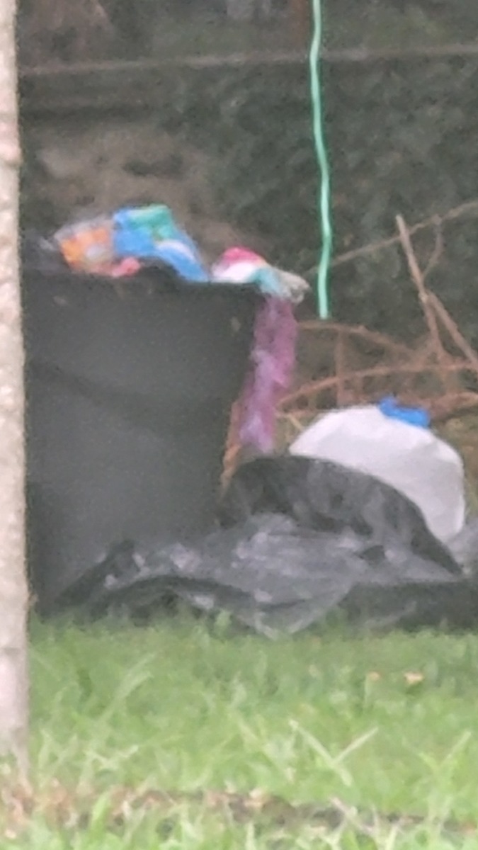 Photographic documentation of the work as submitted to the city's 311 record.