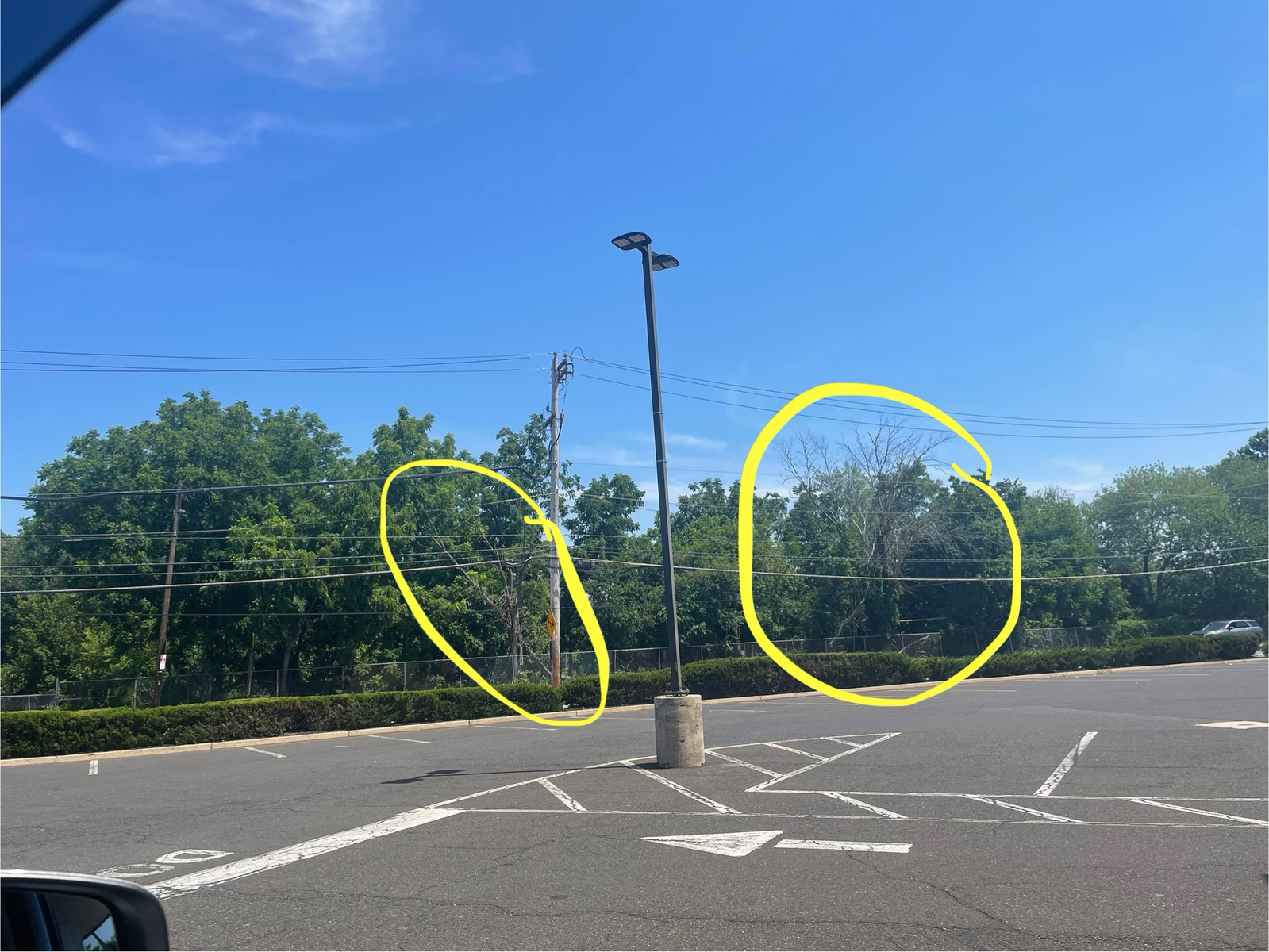 Photographic documentation of the work as submitted to the city's 311 record.