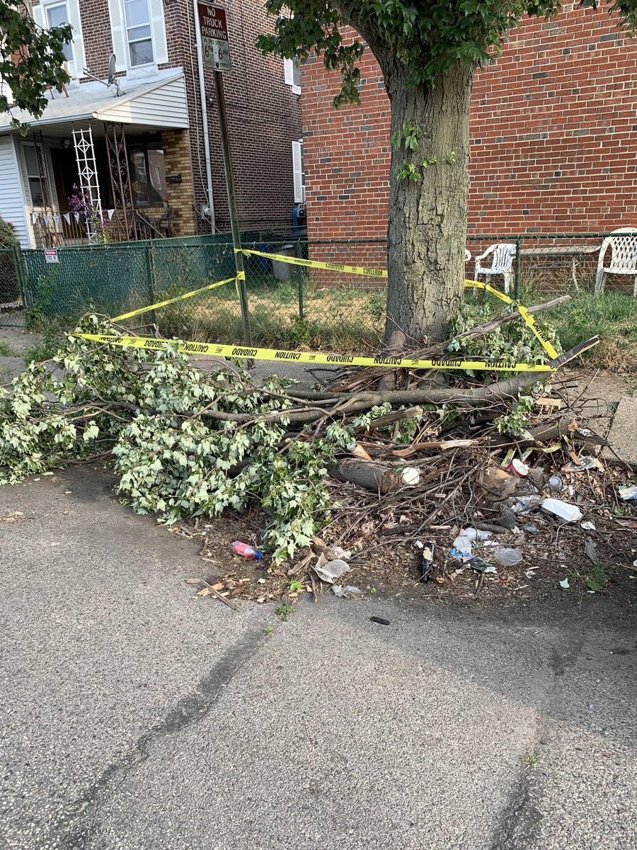 Photographic documentation of the work as submitted to the city's 311 record.