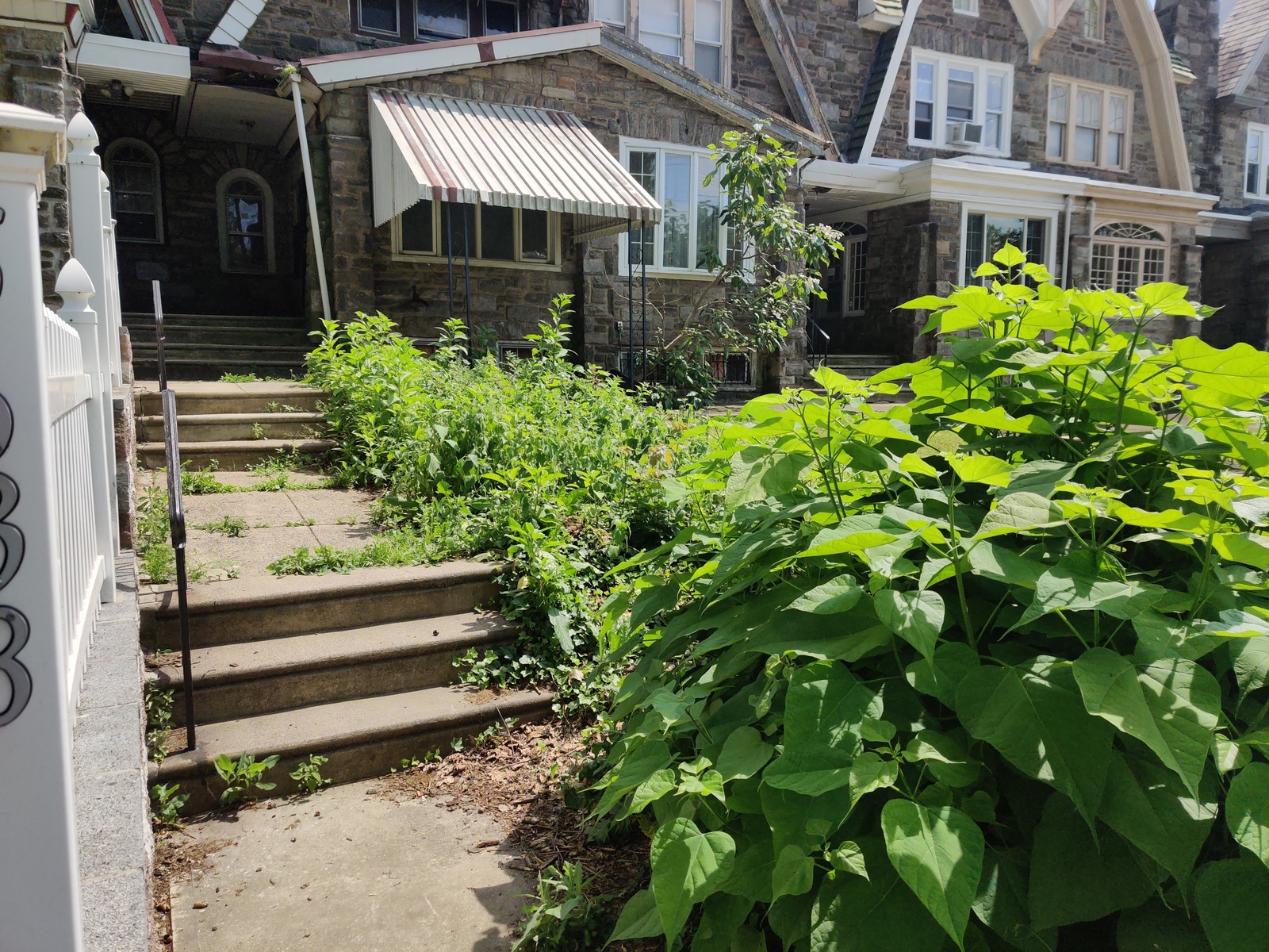 Photographic documentation of the work as submitted to the city's 311 record.