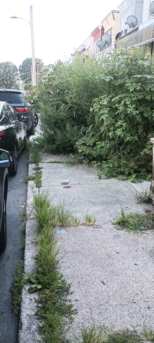 Photographic documentation of the work as submitted to the city's 311 record.