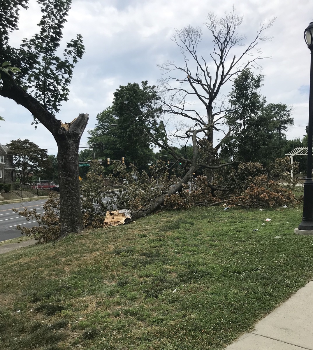 Photographic documentation of the work as submitted to the city's 311 record.